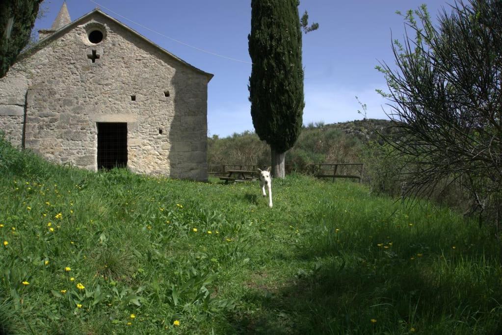 Appartamento Casa Greta - Orco-Feglino Orco Feglino Esterno foto